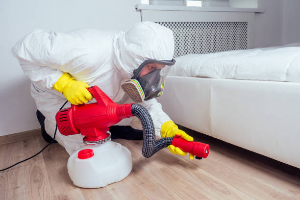 Best Local Pest Control Services  in Sayre, PA