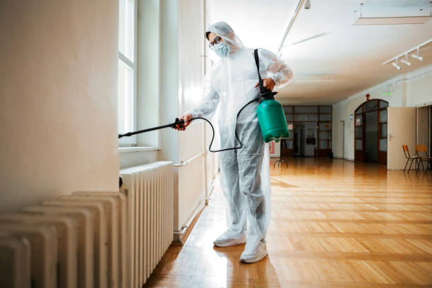 Best Affordable Pest Control Services  in Sayre, PA